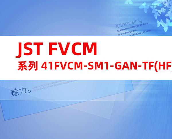JST FVCM系列 41FVCM-SM1-GAN-TF(HF)产品图纸